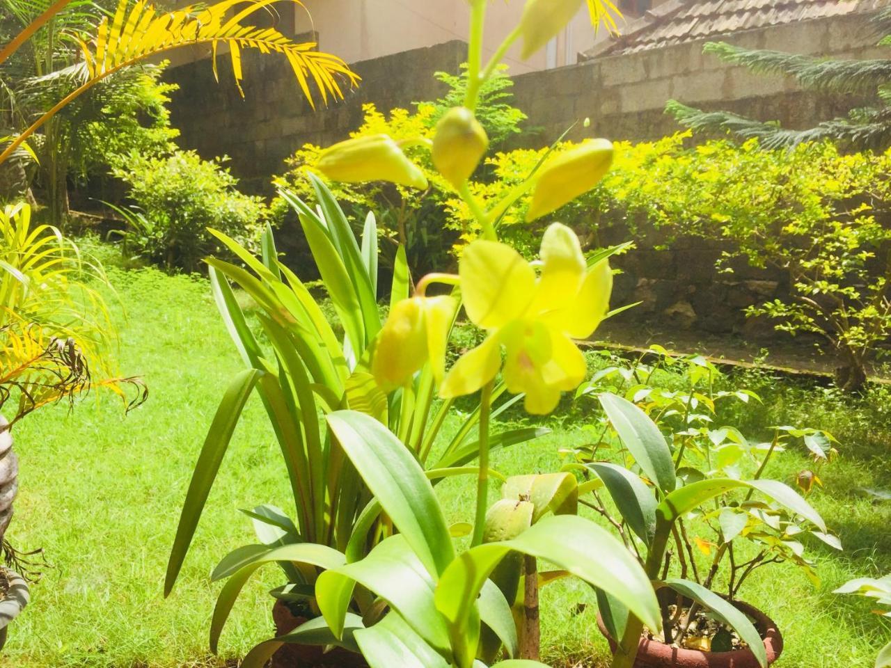 Ganesh House Homestay Thiruvananthapuram Exterior foto